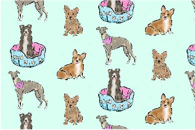Dogs